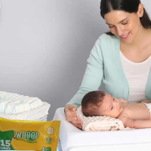 Paños Húmedos Whoop con Aloe Vera – 15 Unidades